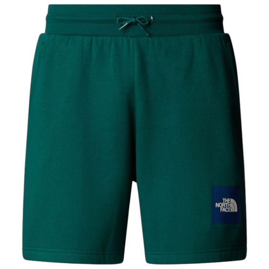 The North Face Ανδρικό σορτς Box NSE Regular Shorts